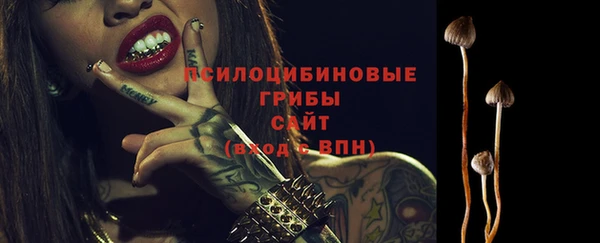 apvp Киренск