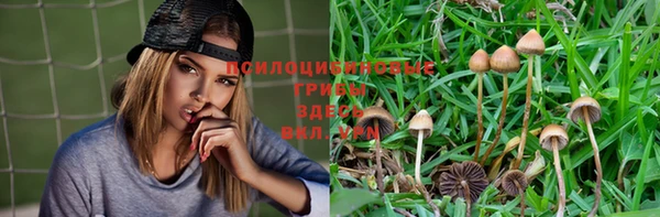 меф Киреевск