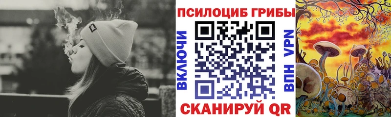 Купить где Куйбышев Галлюциногенные грибы Magic Shrooms
